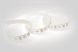 Светодиодная лента Estar SMD 5050 120д.м. IP20 Premium Белая