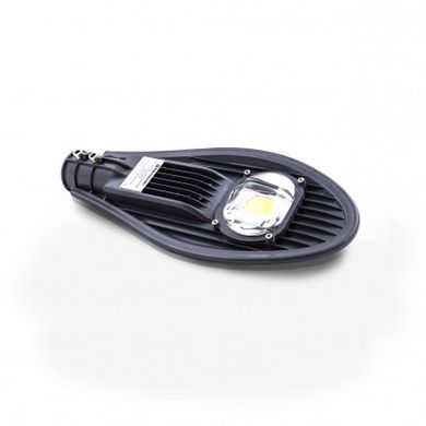 Вуличний світлодіодний світильник LED консольний ST-30-04 (000039105) фото