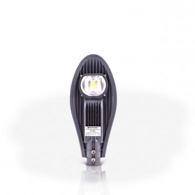 Уличный светодиодный светильник LED консольный ST-30-04 (000039105) фото