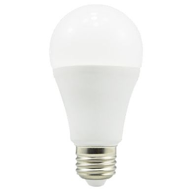 Світлодіодна лампа Biom E27 12W фото