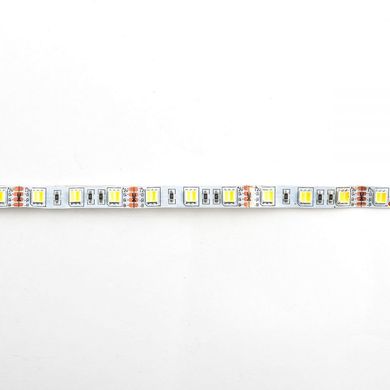 Светодиодная лента Mi-Light SMD5050 Dual White LED Strip негерметичная (IP20)