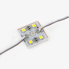 Світлодіодний модуль SMD 5050 4 LED (SM-5050-4-CW) фото