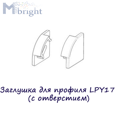 Заглушка для профиля LPY17 (c отверстием) фото