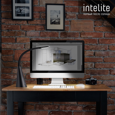 Функціональний настільний світильник Intelite desklamp 5Вт фото